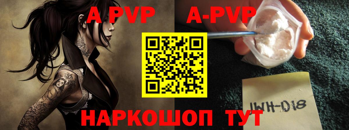 A PVP СК Можга