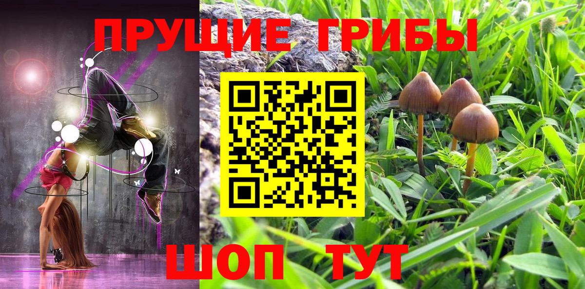 Псилоцибиновые грибы ЛСД Можга